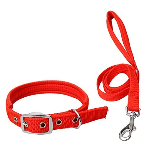 Pet Accessories Leash