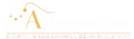 AB INTERNATIONAL